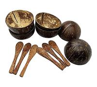VIE Gourmet Mini Coconut Bowls and Spoons, Set of 6