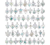 Vie jeune Mixed Pearl Cage Locket Pendants Set, Essential Oil Diffuser DIY Jewelry Making Craft, Bulk Beads Aromatherapy Charms Gifts for Women Girls, Metal