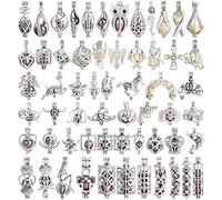 Vie jeune Mixed Pearl Cage Locket Pendants Set, Essential Oil Diffuser DIY Jewelry Making Craft, Bulk Beads Aromatherapy Charms Gifts for Women Girls, Metal