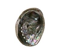Vie Naturals Abalone Shell, 10cm