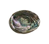 Vie Naturals Abalone Shell, 15cm