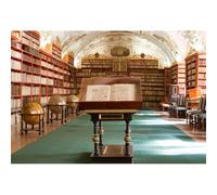 Vie Savaran 10x6.5ft Bookcase Backdrop Library Wooden Bookshelf Murals Sculptures Globe Vintage Interior Photography Background Party Students Adult Artistic Portraits Studio Photo Props Polyester