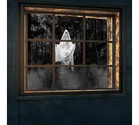 Vie Savaran 7x5ft Horrible Ghost in The Mist Forest Backdrop Halloween Creepy Background Banner for Ghost Party Haunted House Wall Window Door Porch Indoor Outdoor Decoration