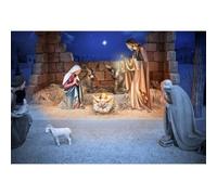 Vie Savaran 9x6ft Birth of Jesus Backdrop Christmas Manger Nativity Barn Scene Medieval Jesus Nativity Photography Background Church Birthday Newborn Party Portrait Studio Photo Props Polyester