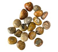VIE Tumbled Crystals, Pack of 12, Crazy Lace Agate