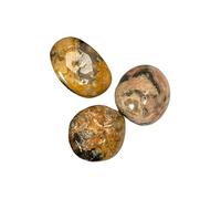VIE Tumbled Crystals, Pack of 6, Crazy Lace Agate