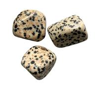VIE Tumbled Crystals, Pack of 6, Dalmatian Jasper