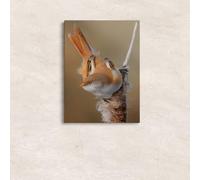 VIEAXSQW Cute Bearded Reedling Bird Perched On Cattail, Modern Style Home Decor(50x60cm/with frame)