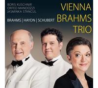 Vienna Brahms Trio - Brahms Haydn Schubert