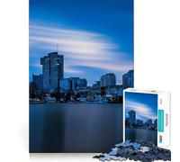 Vienna Skyline at Dusk 1000 Piece Jigsaw Puzzles for Teenagers Recall Fun Play Tight Interlock No Gaps Family Fun Night Activity (50x75cm)