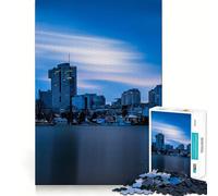 Vienna Skyline at Dusk 1000 Piece Jigsaws for Adults Brain Recall Game Tight Interlock No Gaps Calming Mental Break Activity (38x52cm)