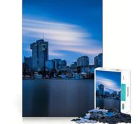 Vienna Skyline at Dusk Jigsaw Puzzles for Adults 1000 Think Boost Game Precise Interlock Structure Easy to Learn Family Enjoyment (38x26cm)