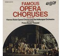 Vienna State opera Chorus And Wiener Volksopernorchester Conducted By Franz Bauer-Theussl - Famous Opera Choruses Volume One-LP
