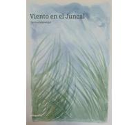 Viento en el Juncal