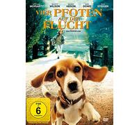 Vier Pfoten auf der Flucht