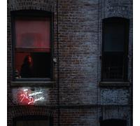 VIETNAM - AN AMERICAN DREAM (LP) VINYL LP NEW