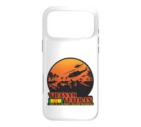 VIETNAM VETERAN - WAR IS A BLOODY, KILLING BUSINESS Case for iPhone 17 Pro Max