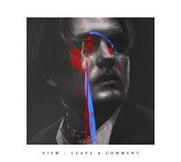 View - Leave a Comment (Coloured Vinyl) [VINYL]