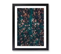 View Of A Forest In Oslo Norway In Abstract Modern Framed Wall Art Print, Ready to Hang Picture for Living Room Bedroom Home Office Décor, Black A4 (34 x 25 cm)