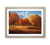 View Of An Autumn Forest Vol.3 Framed Print | A4 Oak Framed Wall Art | Ready to Hang | Modern Landscape Picture | Living Room Bedroom Lounge Office