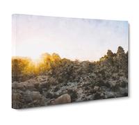 View Of Joshua Tree National Park Canvas Print | Gallery Wrapped 30mm Frame Wall Art | 20x14 inches | Ready to Hang | Modern Landscape Picture | Living Room Bedroom Lounge Office