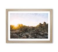 View of Joshua Tree National Park Painting Framed Print | A2 Oak Framed Wall Art | Ready to Hang | Modern Floral Picture | Living Room Bedroom Lounge Office