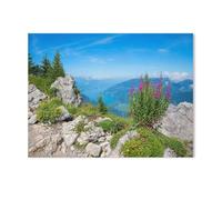 View of Lake Thun from Schynige Platte，Puzzle 1000 Piece Jigsaw Puzzles for Adults, Classic Puzzle Difficult Puzzle for Kids Teenagers Educational Game Toys Gift for Home Travel（50x70cm）-Y44