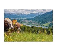 View of the Alpsee Lake in Immenstadt，Jigsaw Puzzles Puzzles for Adults Kids. 1000 Piece Impossible Challenge Toy Educational Game Home Decoration for Adults& Kids Age 14 Years （38x26cm）-AA51