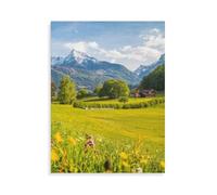 View over flower meadows toward the Watzmann massif in the Berchtesgaden Alps，1000 Piece Jigsaw Puzzle Game Paper Jigsaw for Adults And Kids Age 12 And Up Family Activity（50x70cm）-AP71