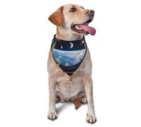 View The Sci-Fi Planet From The Space Station Printed Graphic Pet Triangle Scarf For Dogs & Cats, Adjustable Cute Pet Bandana For & Photo Shoots