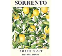 Viewkedt Decor Fruit Market Sorrento Lemons Sign for Coffee Spring 6x8 in Tin Sign Home Decor Home Art Metal Signs Wall Art Wall Decor Poster