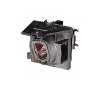 Viewsonic RLC-109 projector lamp