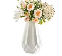 Vigcebit Modern Vases for Home Decor | Ins Style Modern Decorative Vase,Home Decor Vase Fit for Fireplace Bedroom Kitchen Living Room Centerpieces Desk