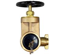 Vigil Dry Riser Gate Valve - Female Screw