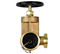 Vigil Dry Riser Gate Valve - Male Screw
