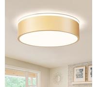 Vikaey Modern Ceiling Lights,LED Gold Metals Bedroom Light 4000K,24W Flush Ceiling Lamp for Living Room Kitchen Bathroom Hallway Dining Room Lounge,11.8 in