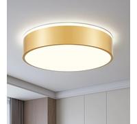 Vikaey Modern Ceiling Lights,LED Gold Metals Bedroom Light 4000K,36W Flush Ceiling Lamp for Living Room Kitchen Bathroom Hallway Dining Room Lounge,15.74 in
