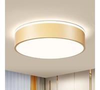Vikaey Modern Ceiling Lights,LED Gold Metals Bedroom Light 4000K,36W Flush Ceiling Lamp for Living Room Kitchen Bathroom Hallway Dining Room Lounge,15.75 in