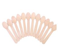 Vikenner 100 Pcs Disposable Wooden Teaspoon for Parties/BBQ/Picnics/Events - Disposable Biodegradable Takeaway - 160mm