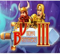 Viking Brothers 3 PC Steam CD Key