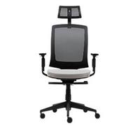 Viking Realspace Karl Ergo Office Chair Permanent Contact Mesh, Fabric 3D Armrest Height-Adjustable Seat Black, Grey 110 kg 9115109BE