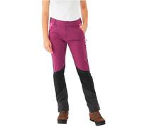 Viking Trek Pro 2.0 Pants