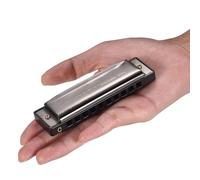 Vikye Blues Harmonica Key of C Diatonic Harmonica Mouthorgan with ABS Reeds 10 Holes for Beginners Professional Stainless Steel Purple (Black)