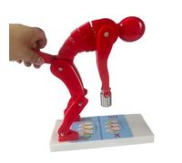 VILA SMO Correct Lifting Posture Model, Human Spine Force Demonstration Model with Base, Interactive Lumbar Spine Training Tool for Medical Anatomy and Safety Education