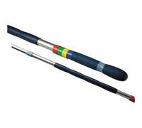 Vileda Telescopic Handle with Assorted Clips 119966