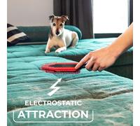 Vileda PetPro Electrostatic Brush Ideal for Pet Hair Removal from Carp