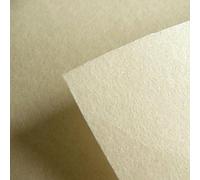 Vilene Decovil I Heavy Iron-On Stabiliser Fabric - Leather-Like Bag Making Interfacing - 50cm Length x 90cm Wide