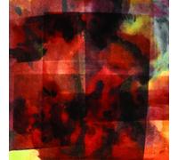 Vilhelm Bromander - In this forever unfolding moment [VINYL]