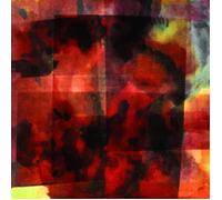 Vilhelm Bromander - In this forever unfolding moment [VINYL]