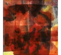 Vilhelm Bromander - In This Forever Unfolding Moment [VINYL]